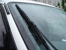 meint3-3.jpg(83520 byte)