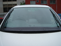 meint3-4.jpg(73354 byte)