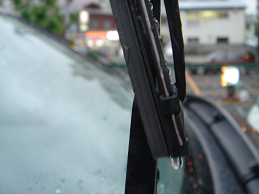 meint3-5.jpg(69888 byte)