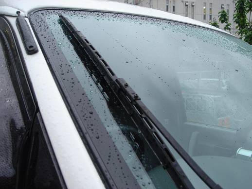 meint3.jpg(309719 byte)