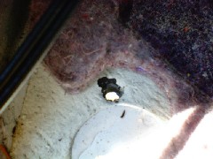 room22-01.jpg(14373 byte)